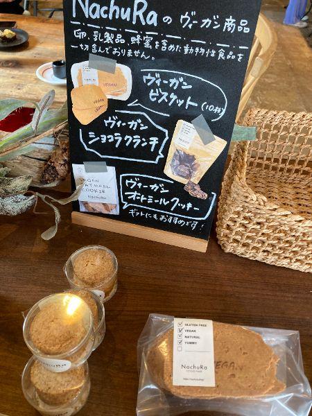 レポート画像