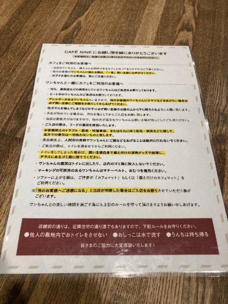 レポート画像