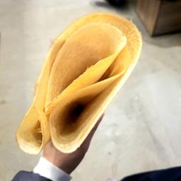 レポート画像