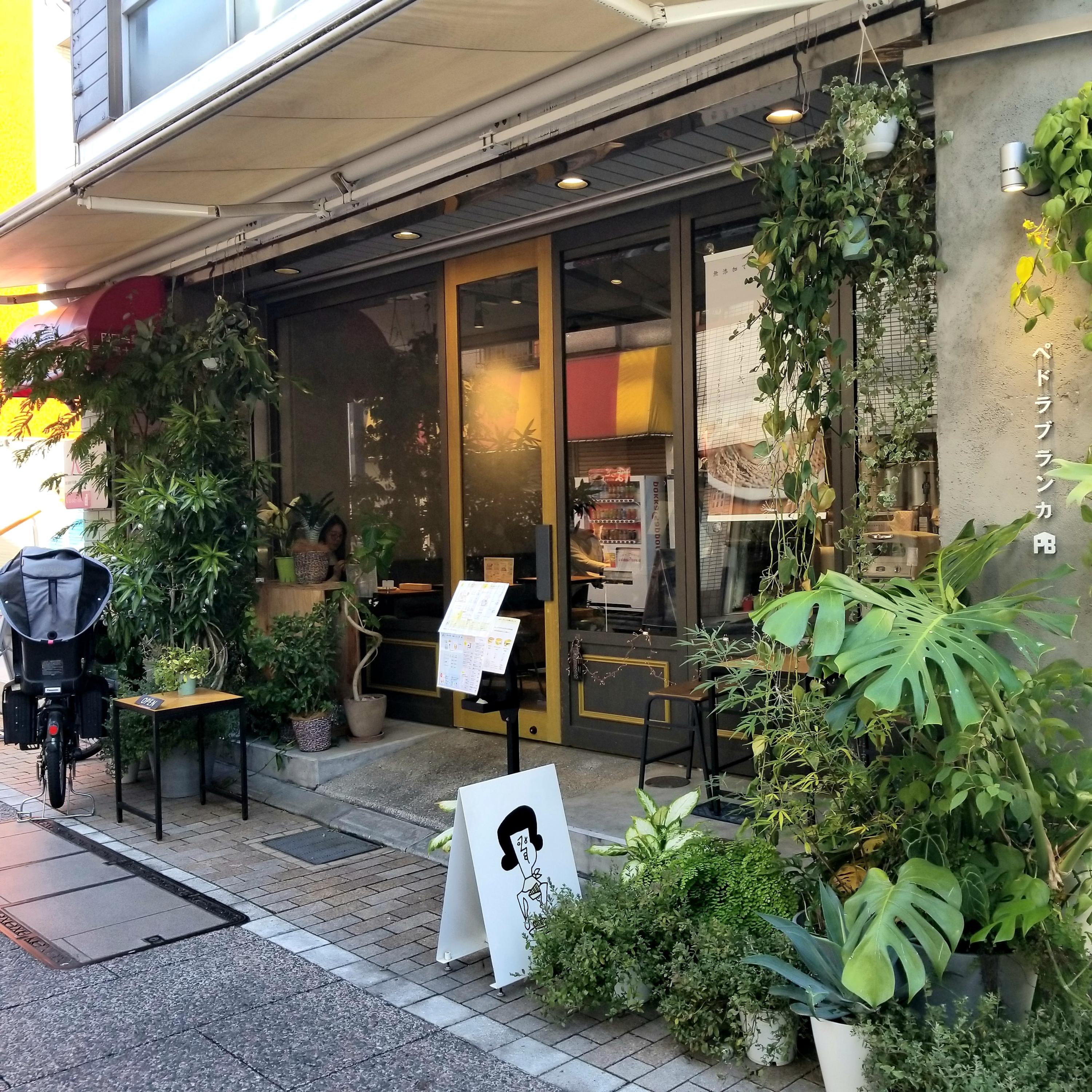 レポート画像