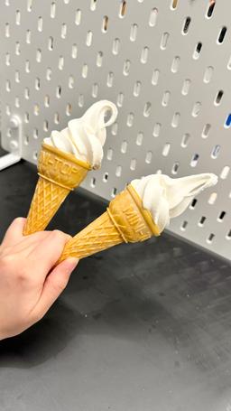 レポート画像