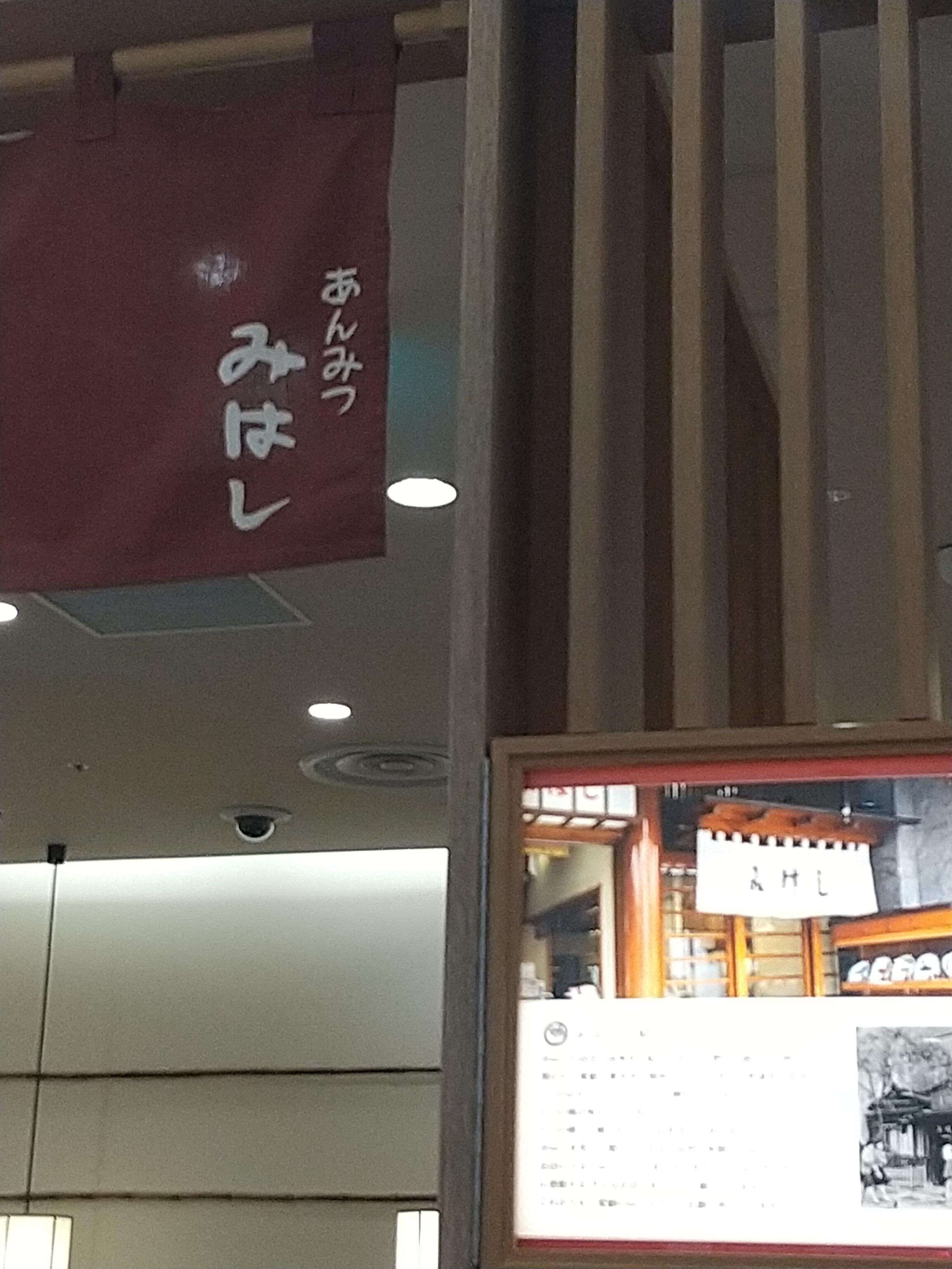 レポート画像