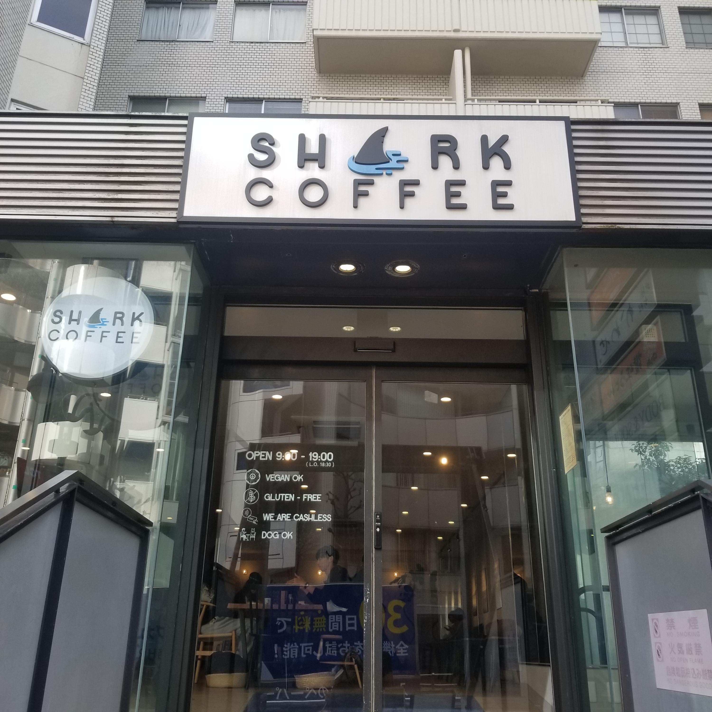 レポート画像
