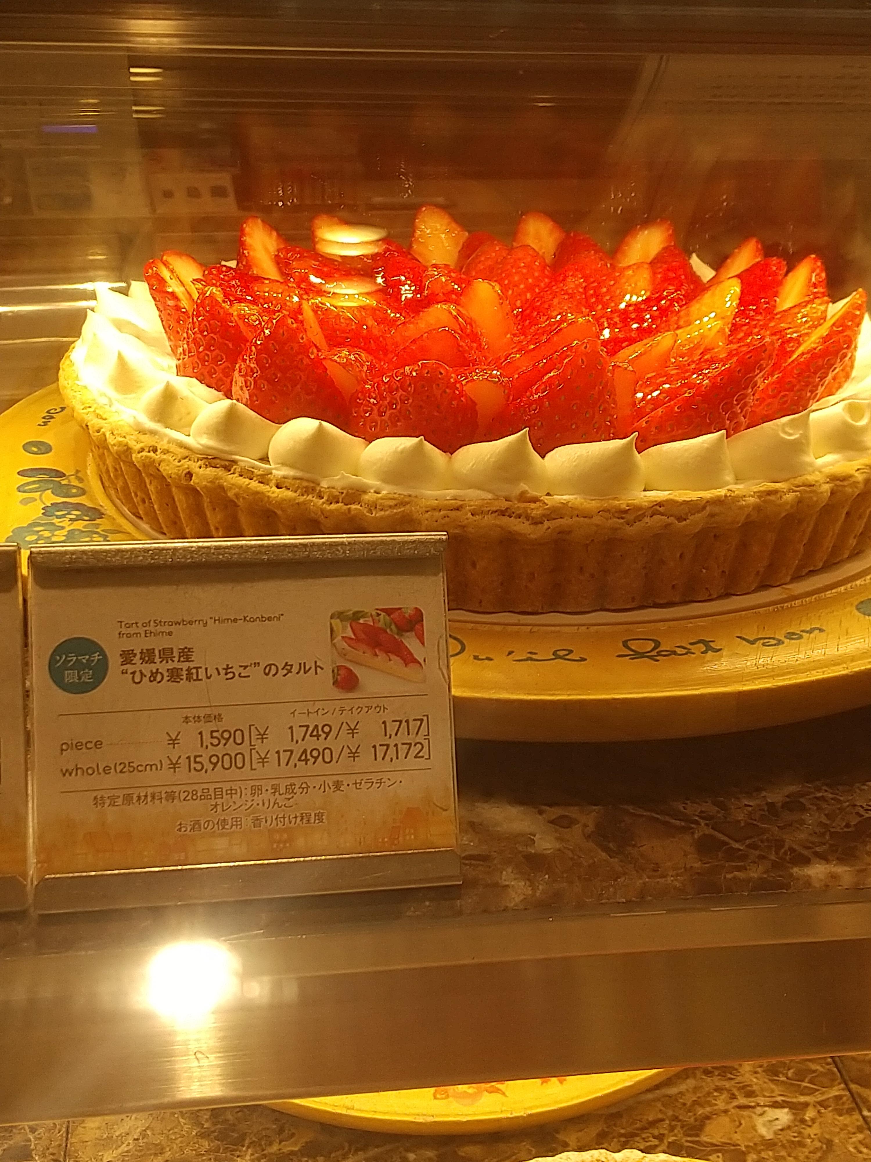 レポート画像