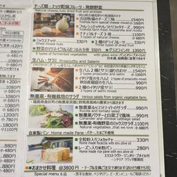 レポート画像
