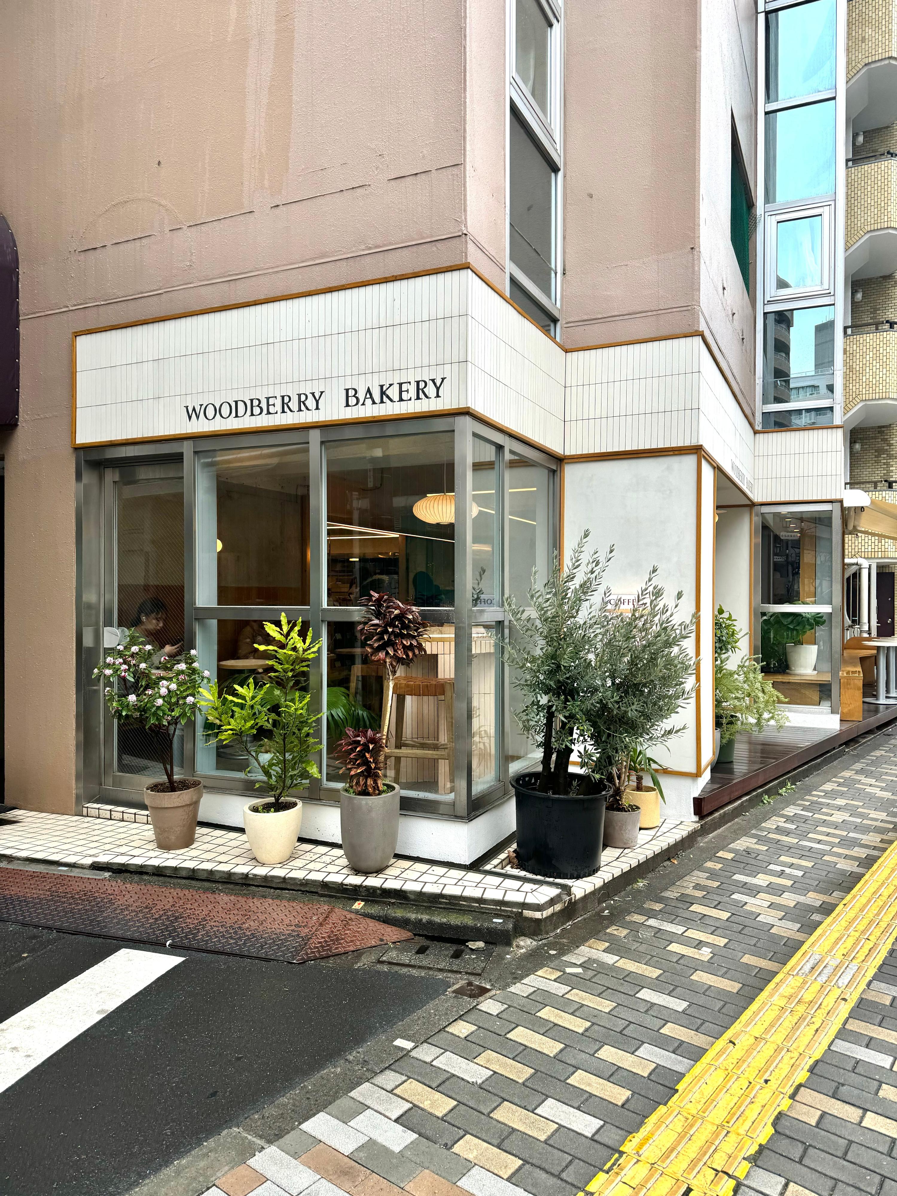 レポート画像