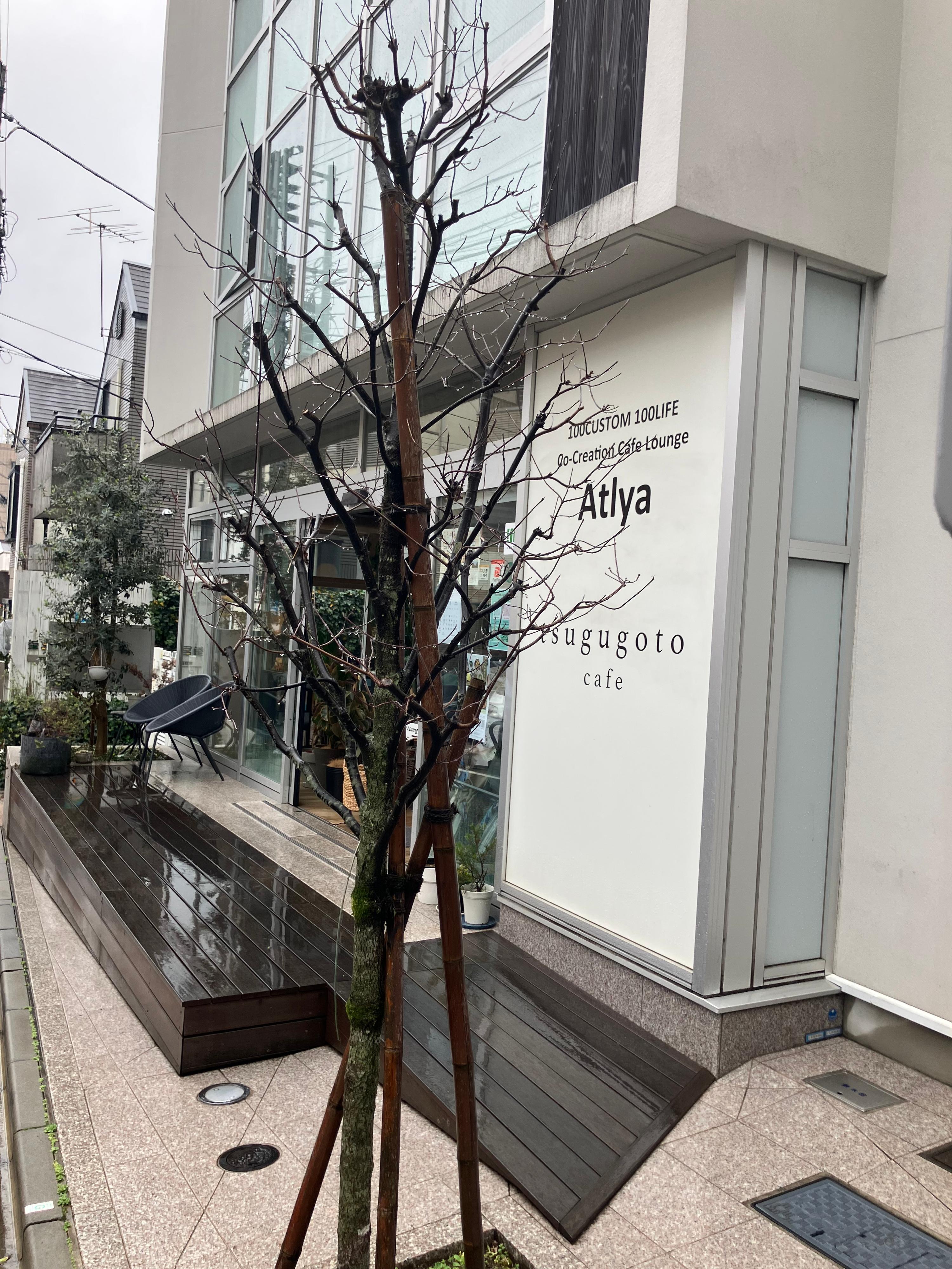 レポート画像