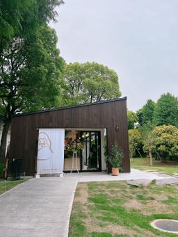レポート画像