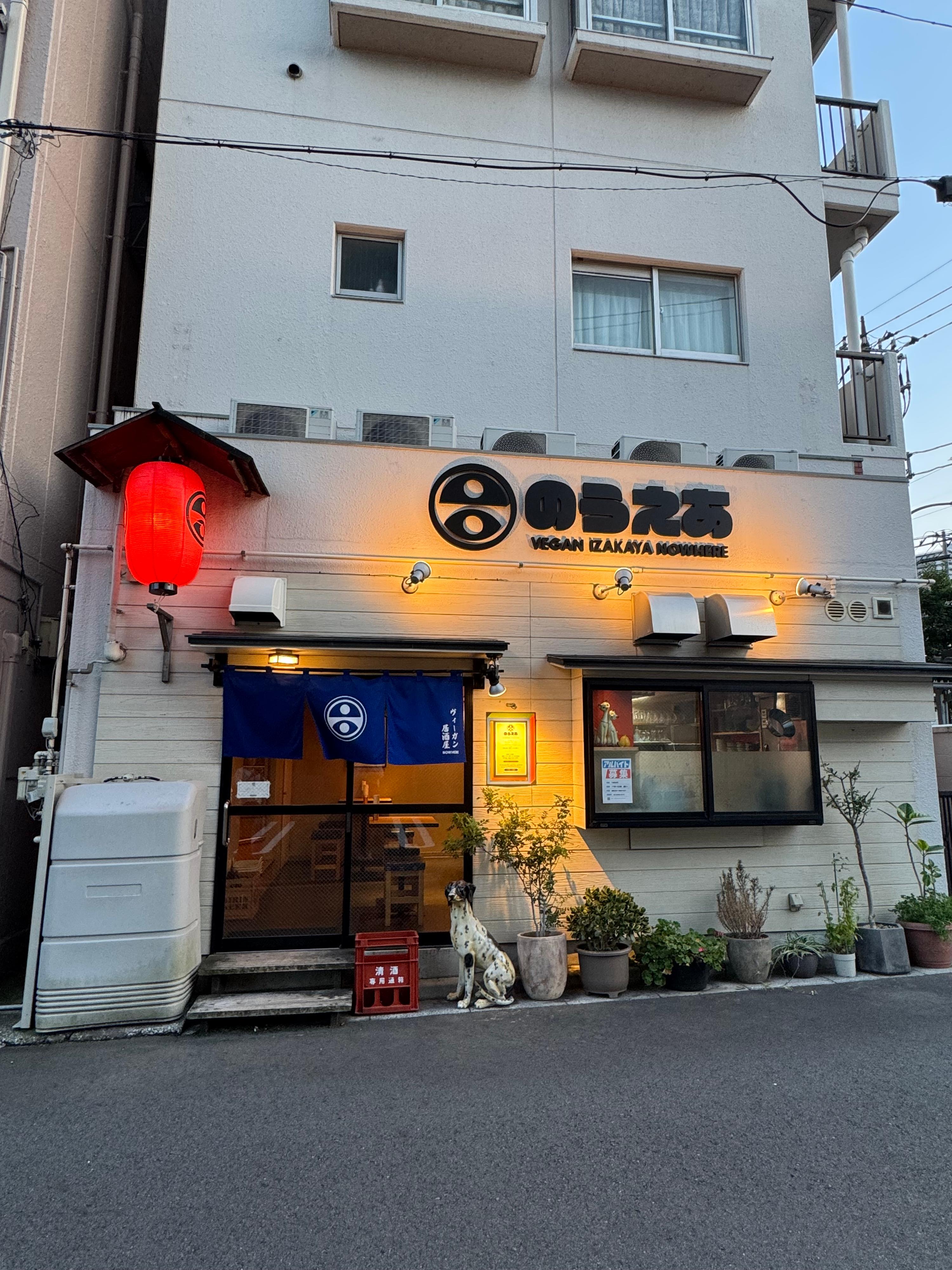 レポート画像