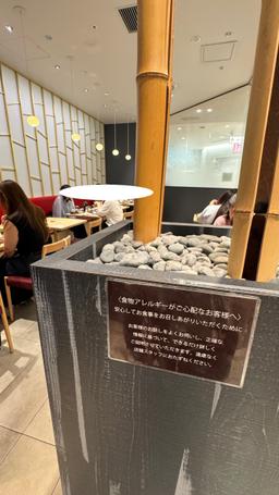 レポート画像