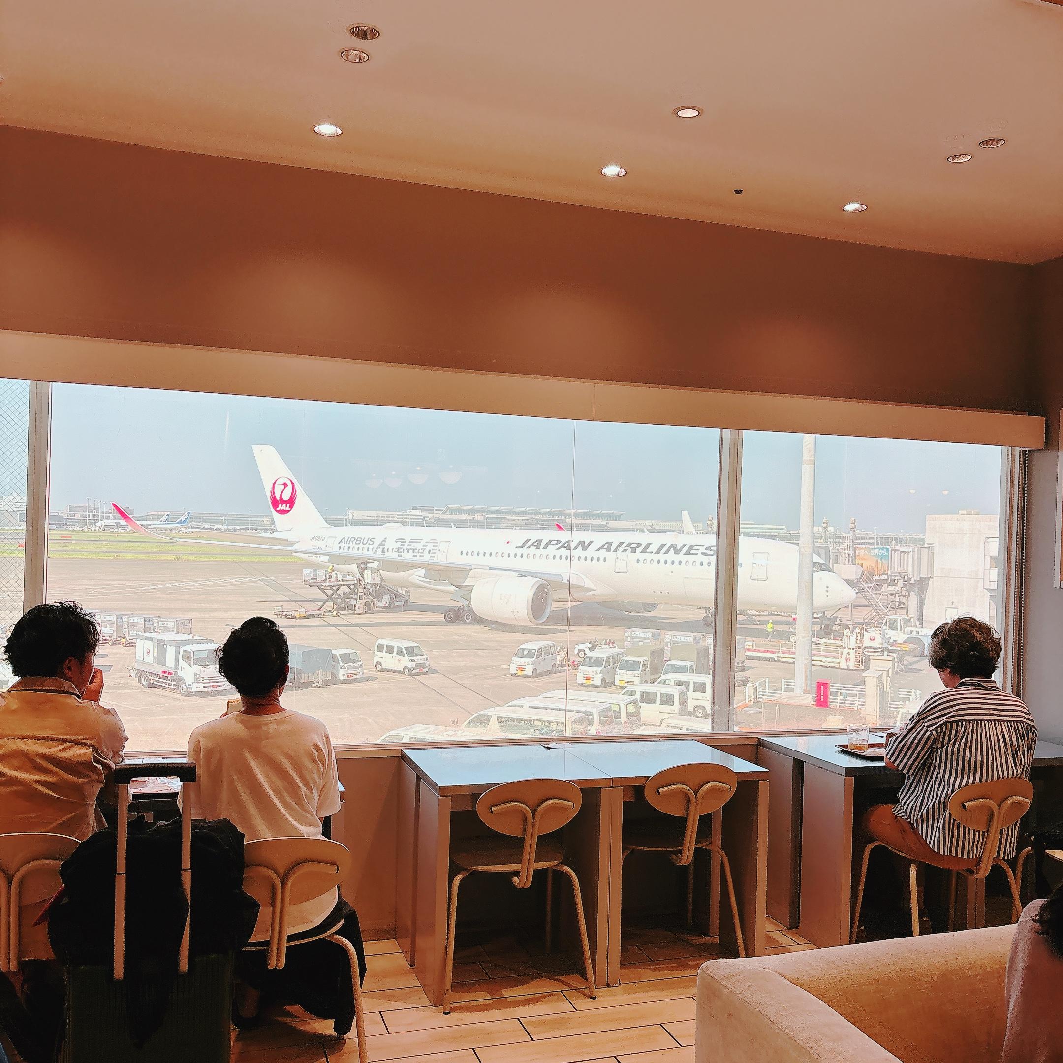 レポート画像
