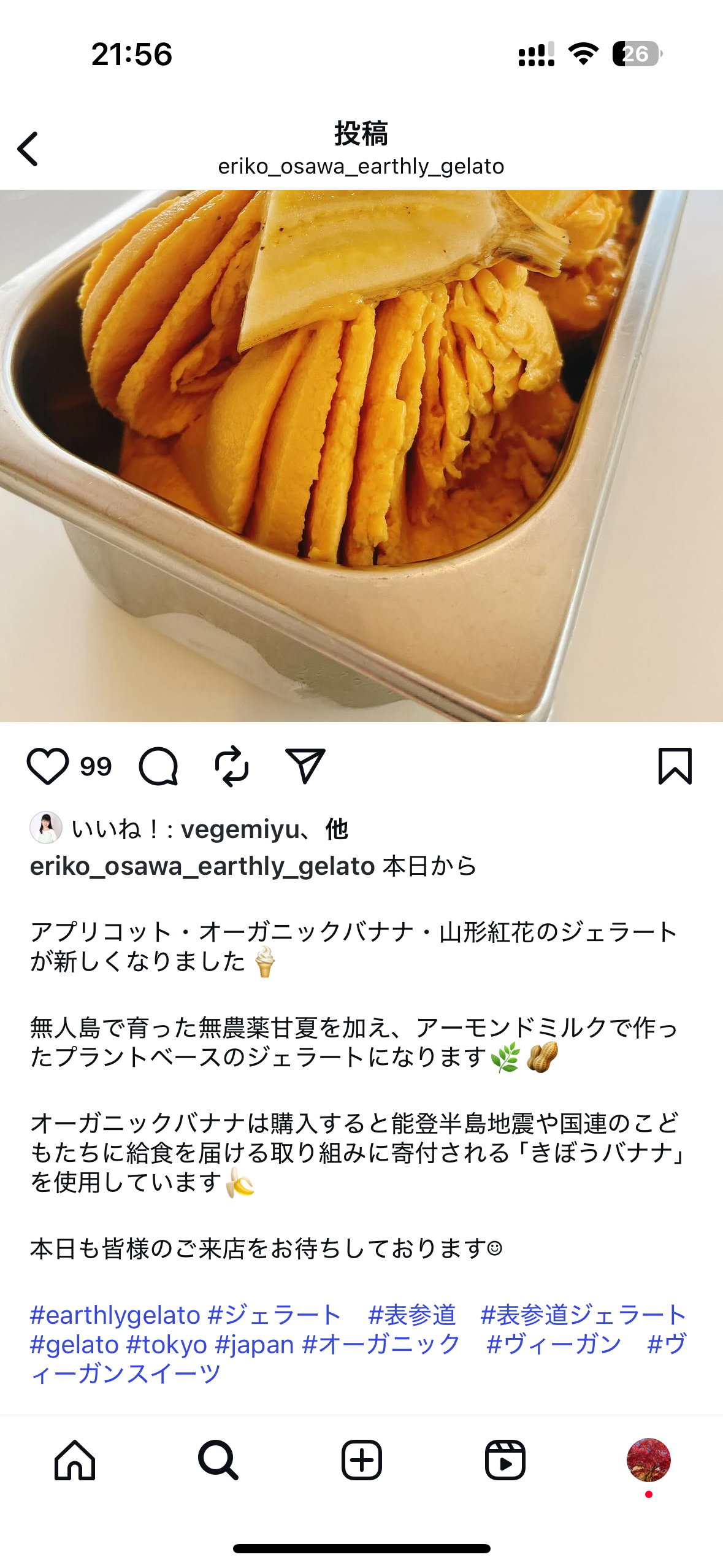 レポート画像