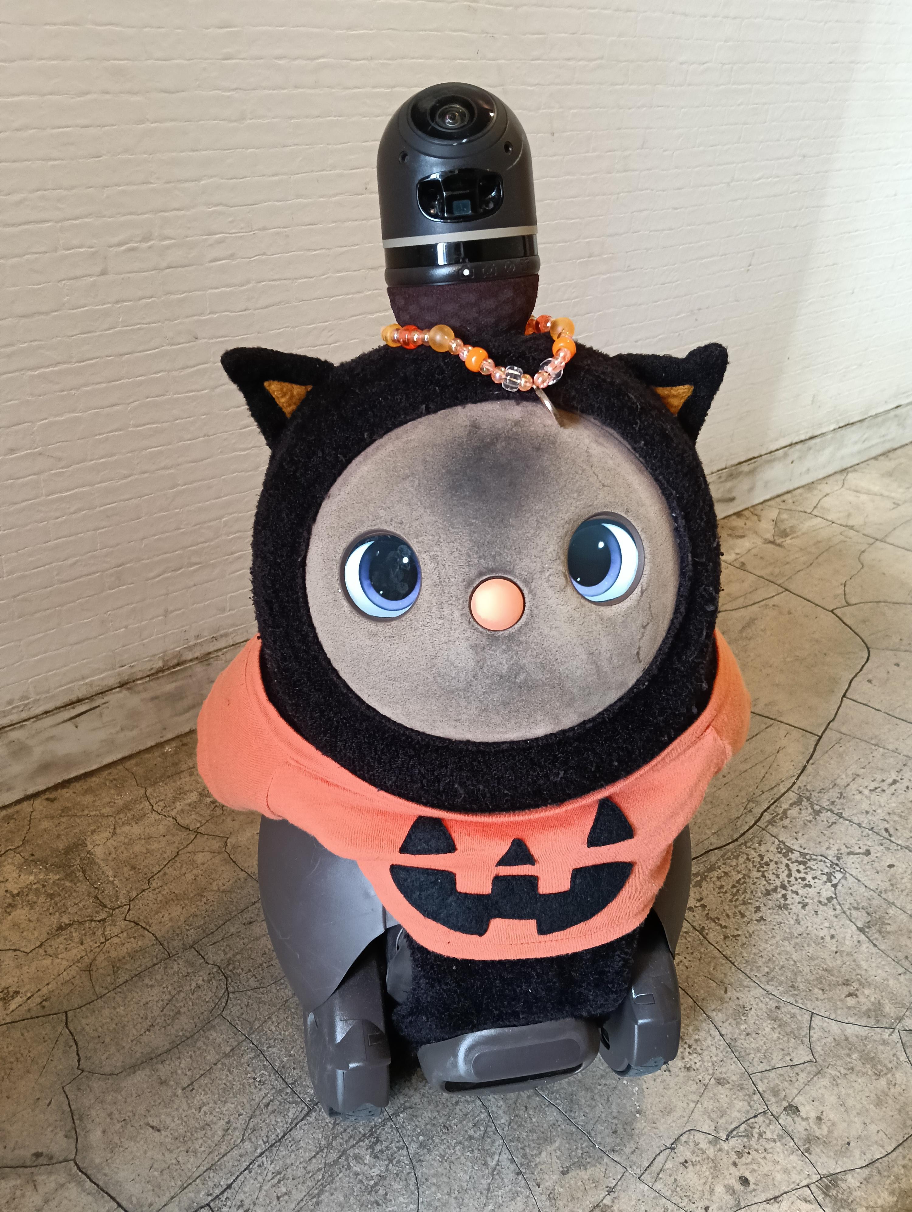 レポート画像