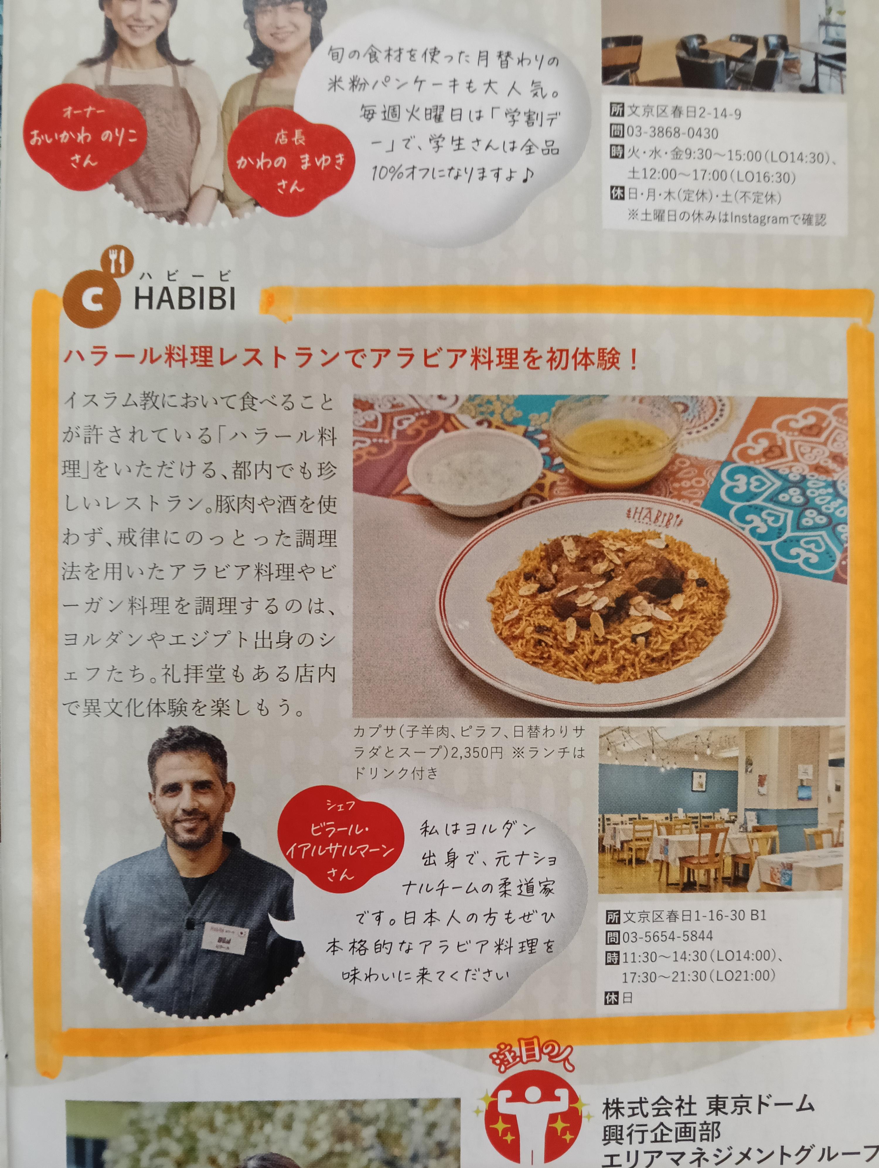 レポート画像