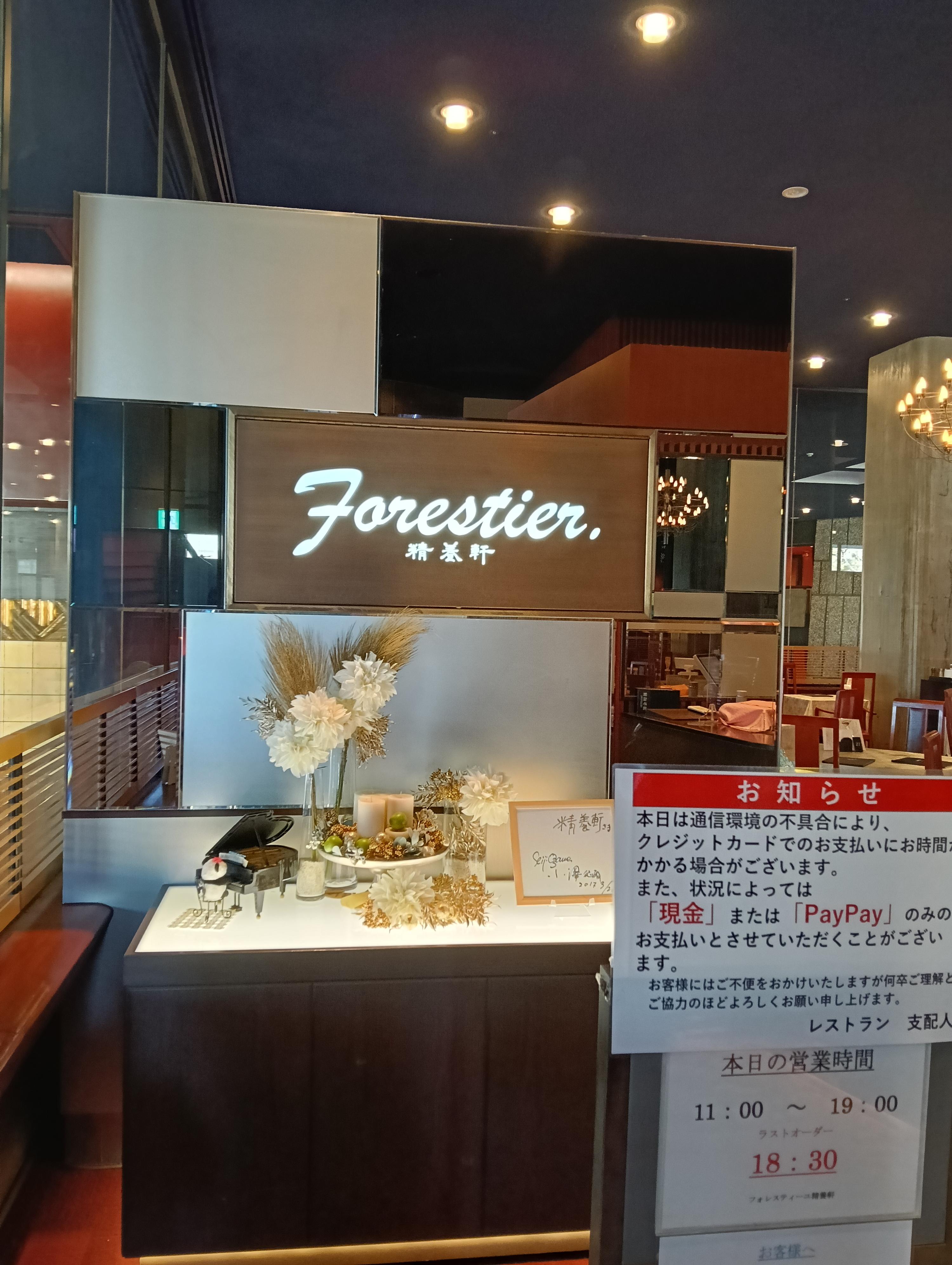 レポート画像