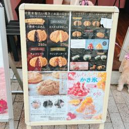 レポート画像