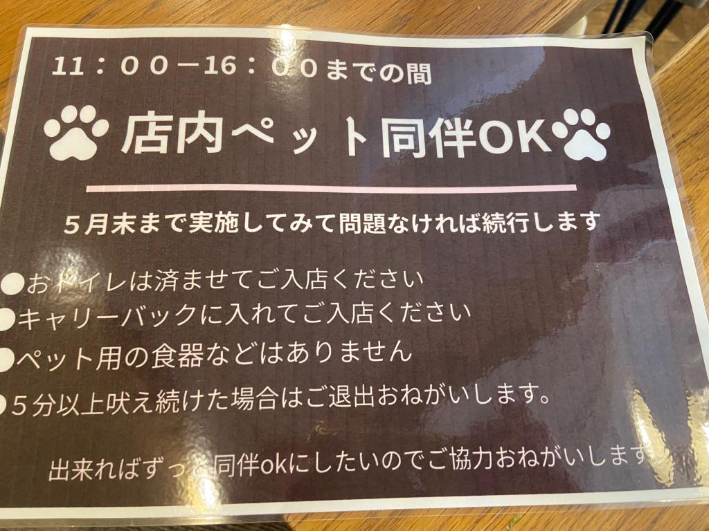 レポート画像