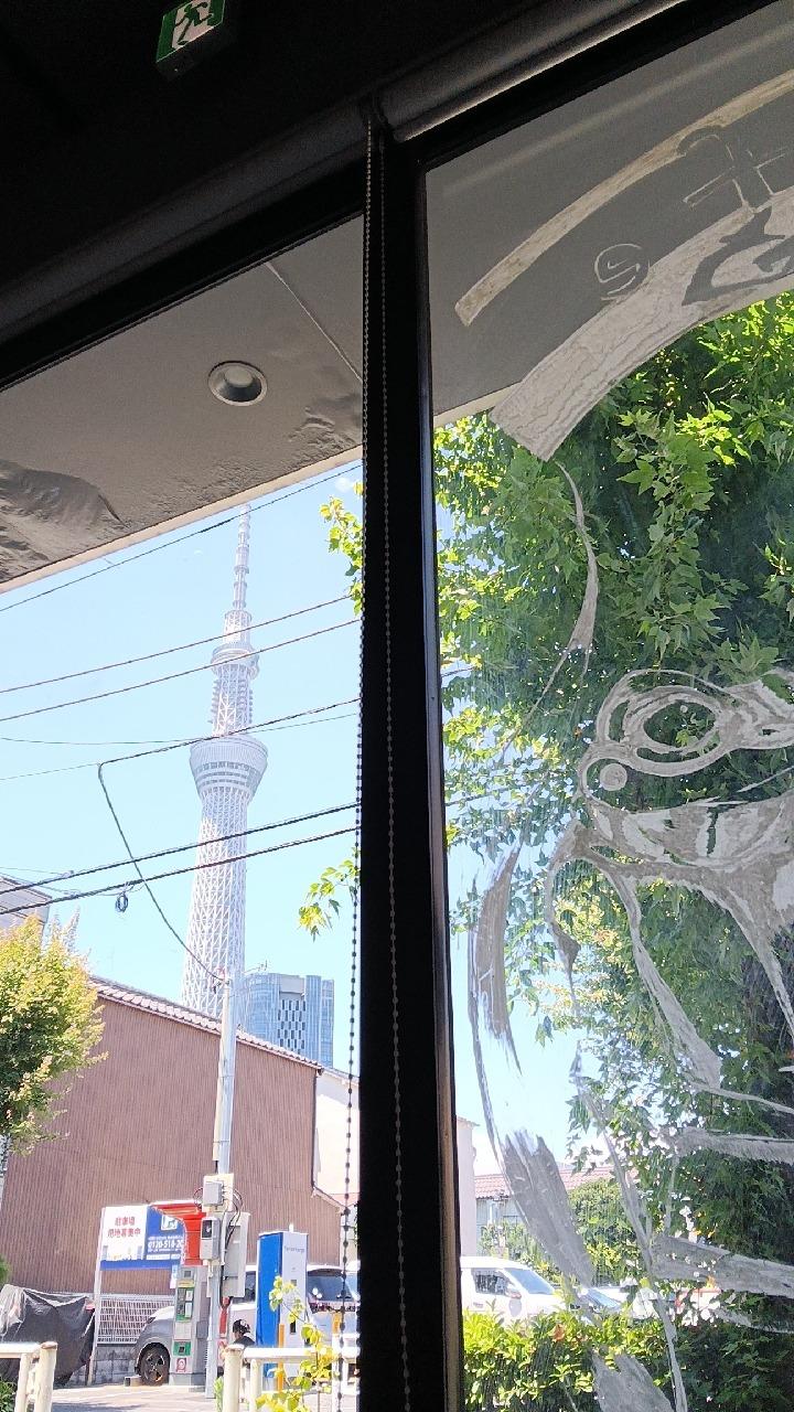 レポート画像