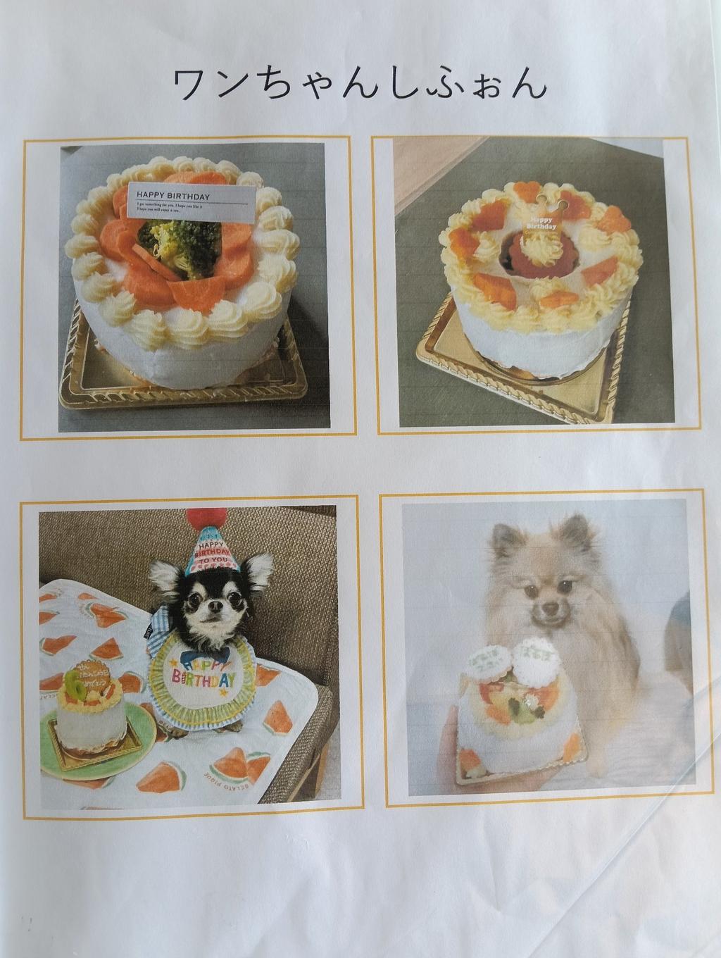 レポート画像