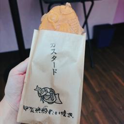 レポート画像